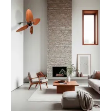 Wall Fan (15)
