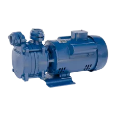Crompton DMB10DCSL Centrifugal Single Phase Heavy Duty Monoblock Water Pump (1HP, Blue)