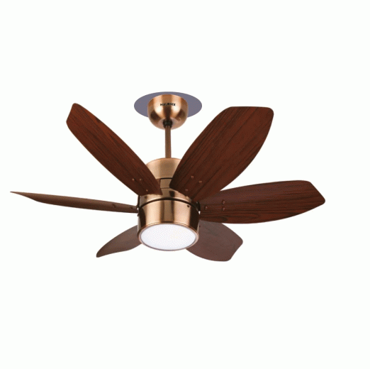 Halonix Hexa 900mm Ceiling Fan with Built-in 6 Colour LED Light and Remote (Antique Copper, 36 Inch)