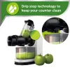 Philips HR1887/81 Viva Collection Masticating juicer XL Tube, 70 mm Quick Clean