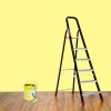 Prestige PCBL 6 Steps Cleanhome Aluminium Ladder, 6 Steps with 5 Years warranty